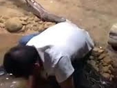 لحظه بلعیده شدن نگهبان باغ‌وحش حین غذا دادن به مار + فیلم