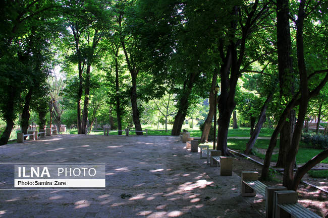  فصل بهار در باغ ارم شیراز