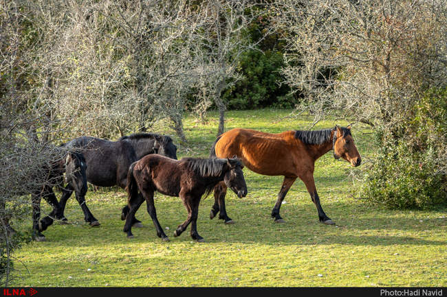 ویسته، بندر آرام دریای آدریاتیک