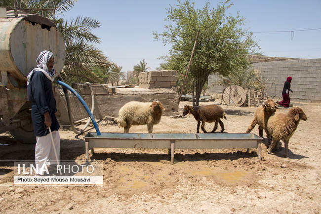 بی آبی ؛ غیزانیه