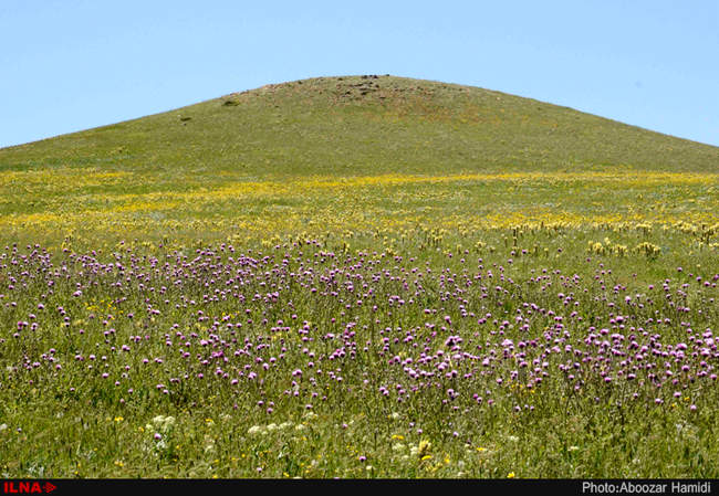 طبیعت بهاری رودبار گیلان