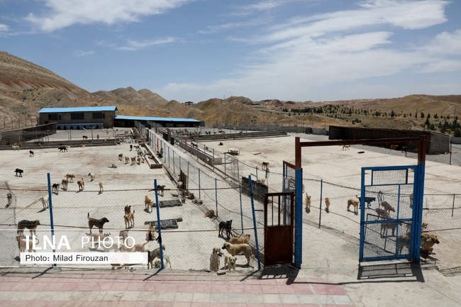 بازدید خبرنگاران استان البرز از سایت بازیافت حلقه دره