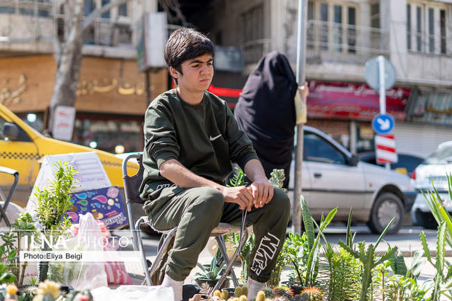 قزوین در تکاپوی سال نو