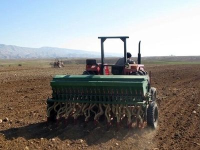 توزیع بیش از 20 هزار تن بذر گواهی‌شده و لیبل دار در اردبیل