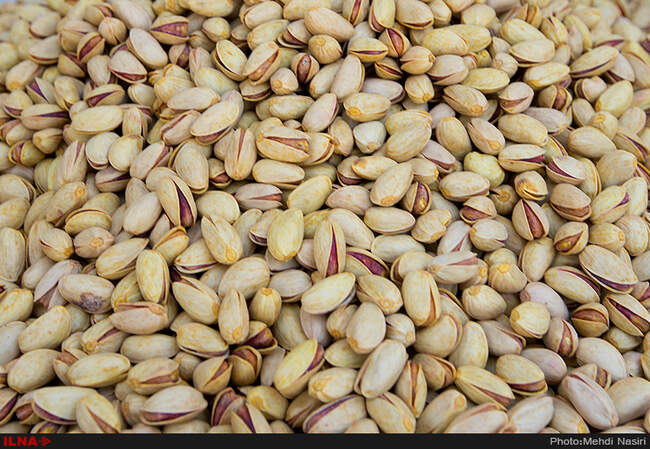 سوغات دامغان