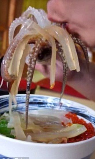 عکس/ غذای وحشتناک یک رستوران ژاپنی 