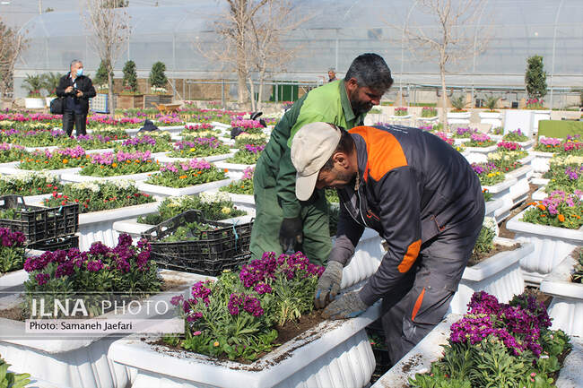 مشهد در تدارک استقبال از بهار ۱۴۰۲ 