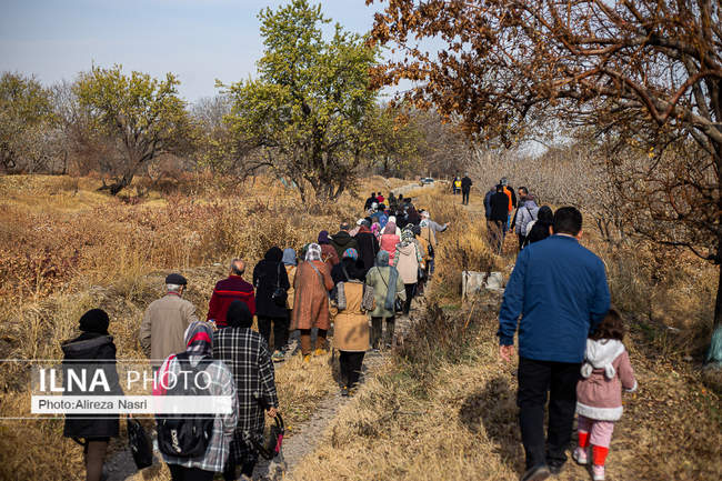 باغستان سنتی؛ میراث کهن مردم قزوین 