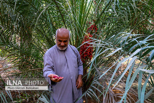 آبادان؛ شهری که هنوز بوی نفت، صدای لنج و خاطره‌ی مقاومت می‌دهد