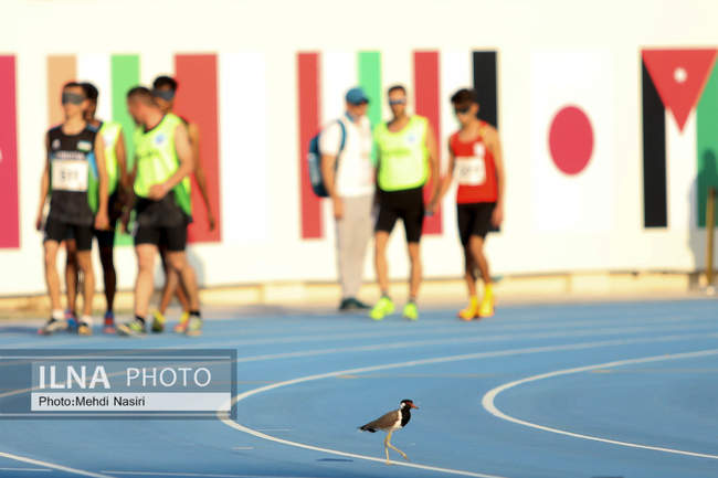 مسابقات دومیدانی بازی‌های پاراآسیایی جوانان