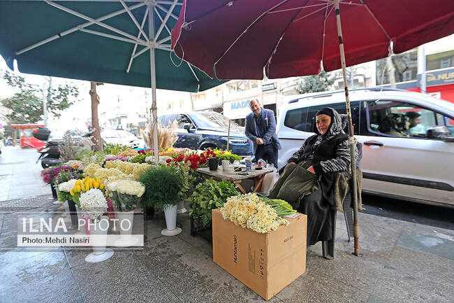 منطقه نشان تاشی