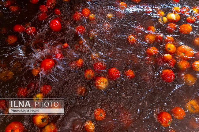 از مزرعه تا صنایع تبدیلی