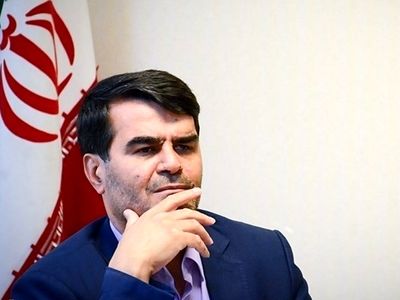 هفته آینده استان‌های محل عبور زوار اعلام می‌شود/ هزینه روادید و بیمه اتباع افغانی همانند اتباع ایرانی است