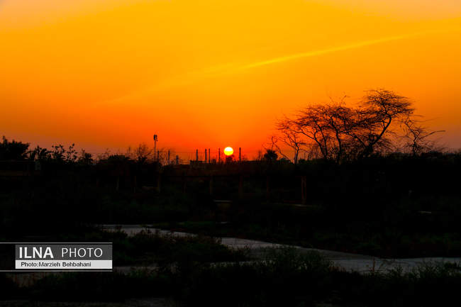 *سایهی غروب در قلب آبادان؛ روایت تصویری از زندگی، نگاه و نفسهای آخ