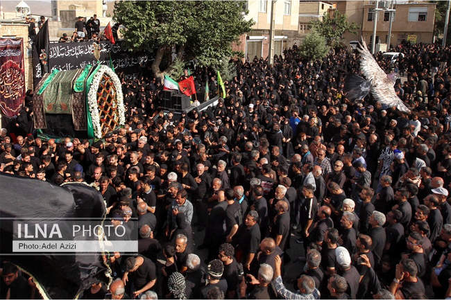 مراسم کهن نخل گردانی تفرش در عصر عاشورا