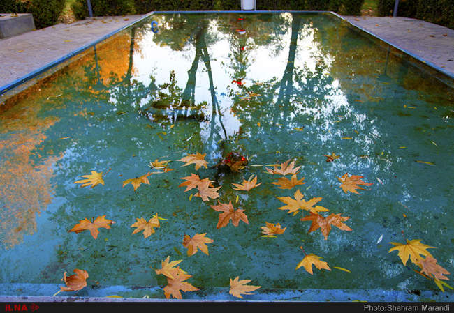 برگ ریزان پاییز اصفهان