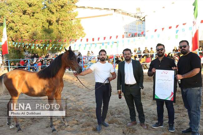 سومین جشنواره زیبایی و شوسواره استان هرمزگان - 06