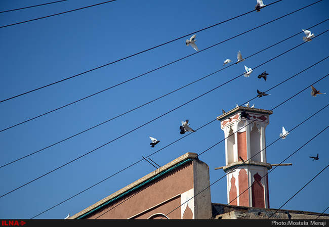 خانه تاریخی تاج از جاذبه های گردشگری تاریخی شهر کاشان