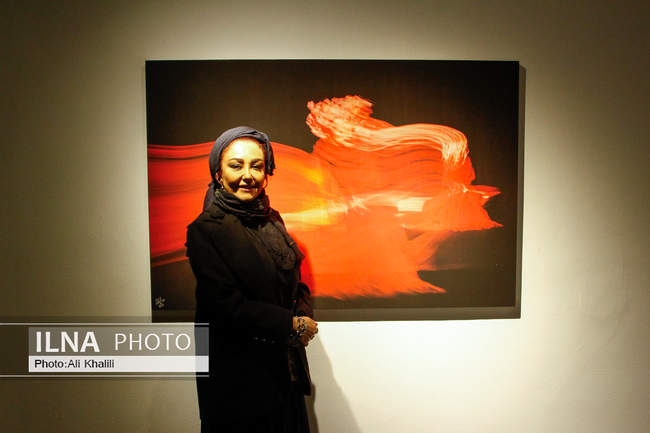 افتتاحیه نمایشگاه عکس «باله در تاریکی»