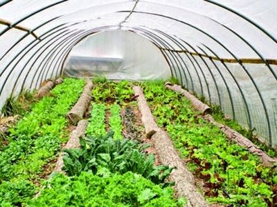 اجرای طرح "هر خانه یک گلخانه"در روستاهای آذربایجان غربی