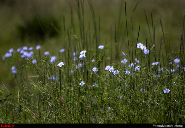 روستای خفر پادنا، بهشتی در دامنه کوه دنا