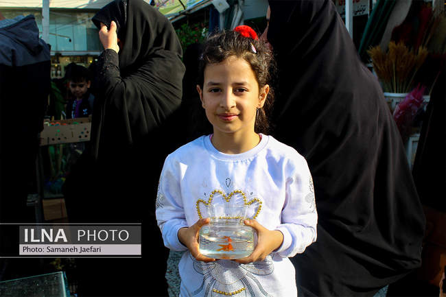بازارگل مشهد در آستانه نوروز 