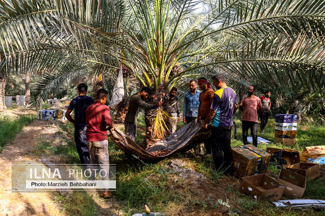 آبادان؛ شهری که هنوز بوی نفت، صدای لنج و خاطره‌ی مقاومت می‌دهد