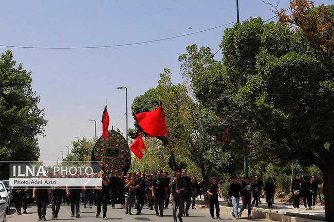 آیین نخلگردانی ظهر عاشورا در تفرش
