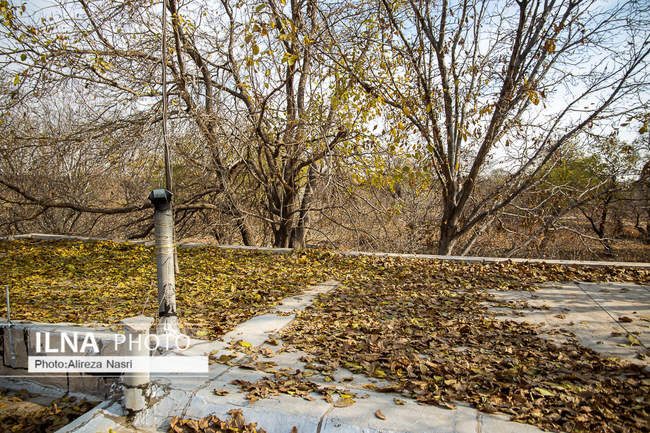 باغستان سنتی؛ میراث کهن مردم قزوین 