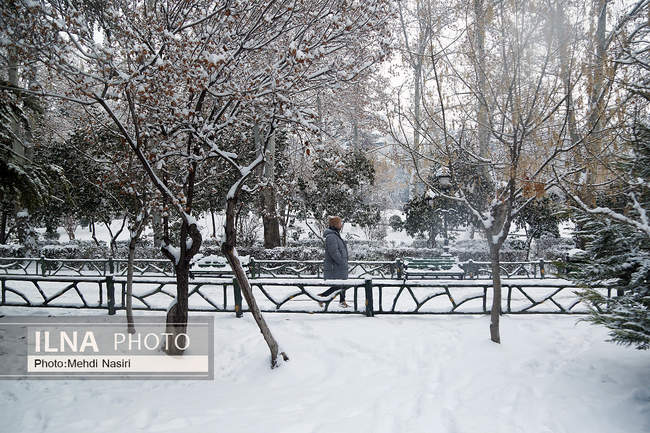 پارک ملت در یک روز برفی