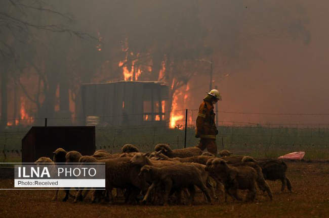 آتش سوزی گسترده در استرالیا