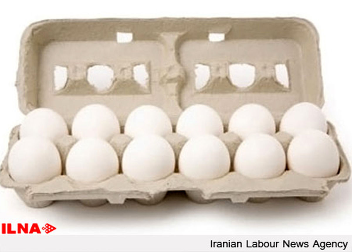 سهم ۵۰ میلیاردی تخم مرغ را پرتقال خورد!