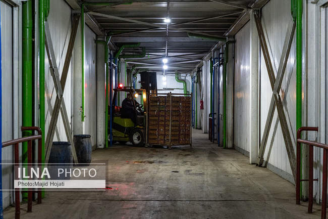 از مزرعه تا صنایع تبدیلی