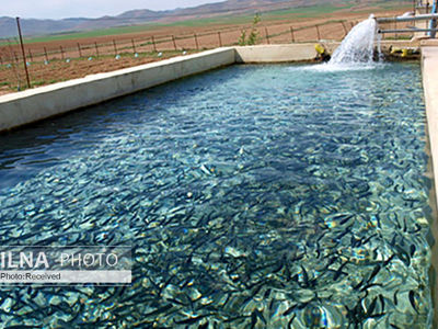  بومی کردن خاویار در لرستان