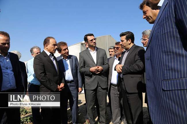 سفر یک روزه معاون وزیر کار  به استان قزوین