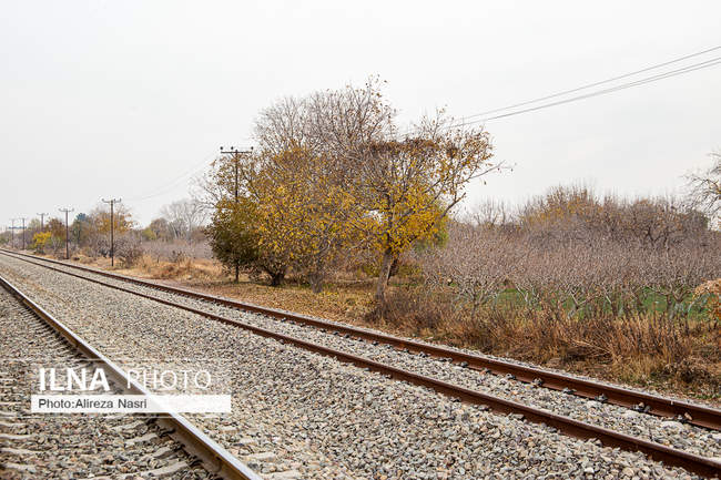 باغستان سنتی؛ میراث کهن مردم قزوین 