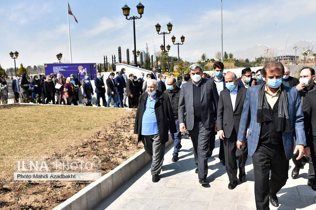 آیین کاشت نهال صلح و دوستی