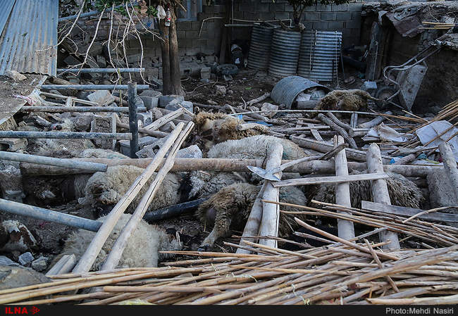 از تلف شدن حیوانات یک روستا تا قنوت میان ویرانه‌های «ازگله»
