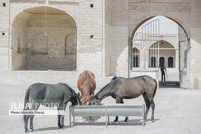 کاروانسرای مادر، گوهری در دل کویر