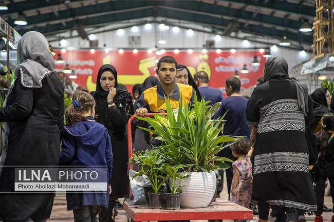 هشتمین نمایشگاه سراسری گل و گیاه در یزد