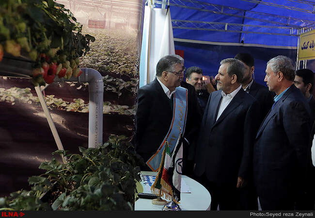 جشنواره ملی امتنان از کارآفرینان بر‌تر 