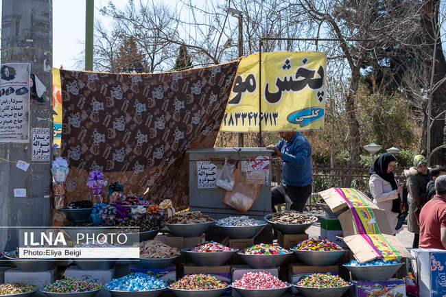 قزوین در تکاپوی سال نو