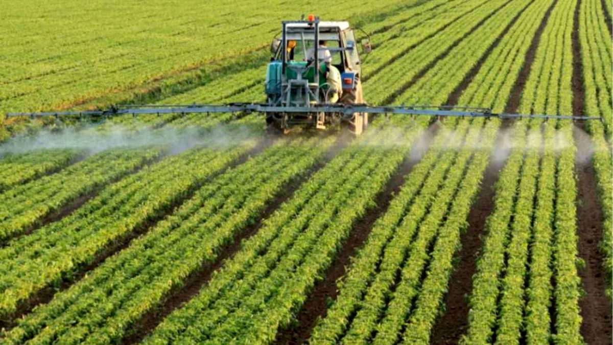 طرح‌های تشویقی مناسب برای حمایت متقاضیان کشت فراسرزمینی