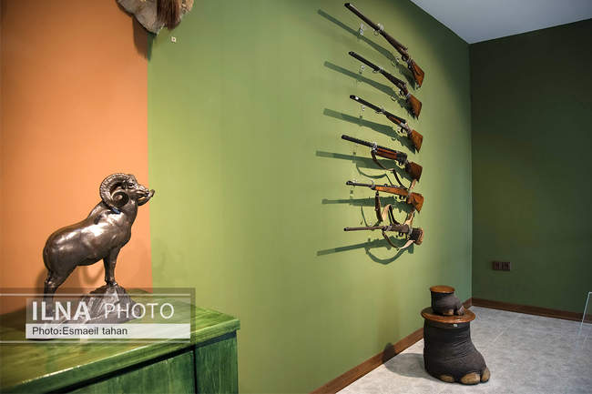 کاخ‌موزه رامسر، دریچه ای به مسیری که پیموده شده