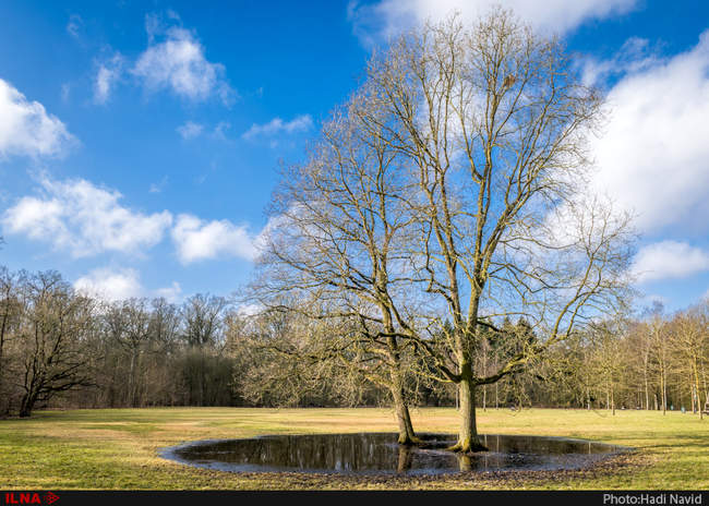 برمن: دانش و طبیعت