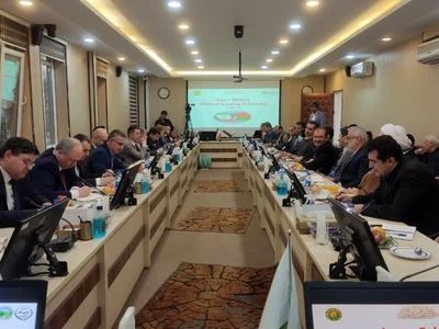 رایزنی ایران برای واردات چوب و نهال از بلاروس/ آمادگی مینسک برای انتقال تجربه در حوزه جنگلداری به تهران 