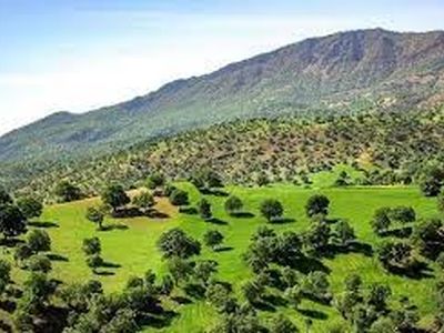 ضرورت ایجاد پاسگاه‌های حفاظتی در مناطق جنگلی لرستان