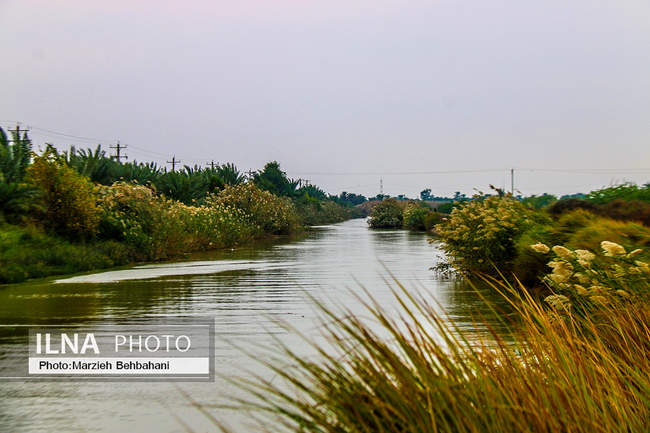 آبادان؛ شهری که هنوز بوی نفت، صدای لنج و خاطره‌ی مقاومت می‌دهد