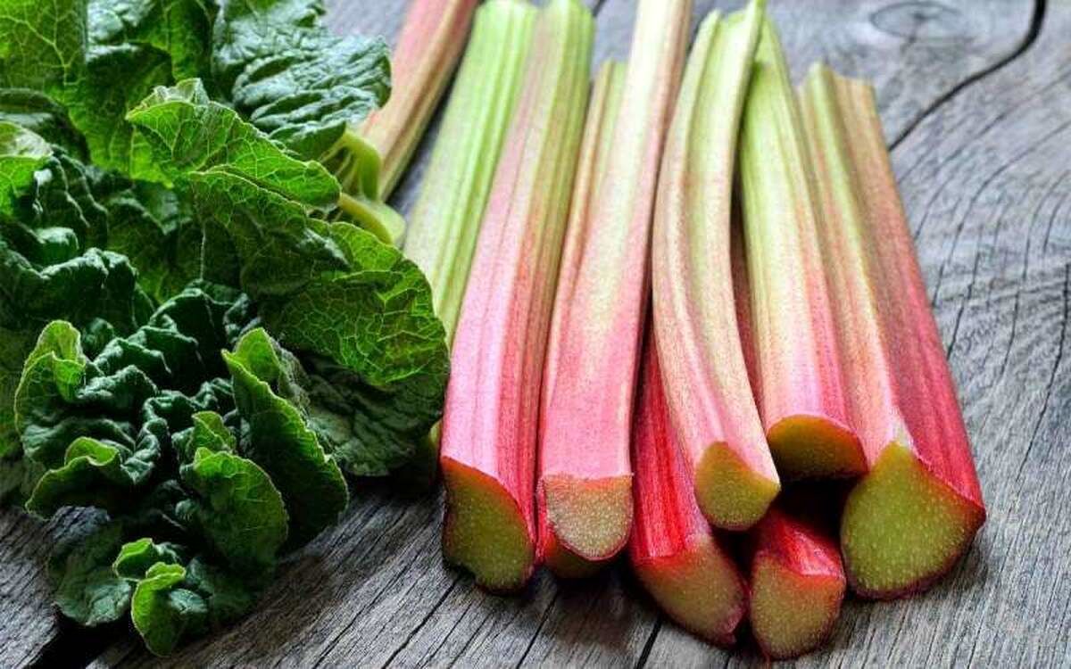 خواص ریواس برای کبد چرب