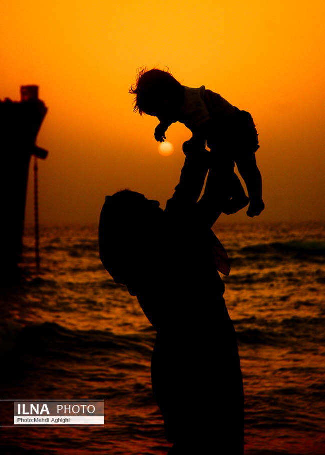 زنهای سرزمین من 